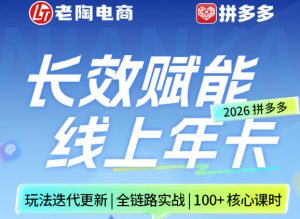 拼多多线上SVIP线上年卡，从认知到基础、从推广到活动、从活动到玩法，全链路实战(26年4月15日更新)-聊项目