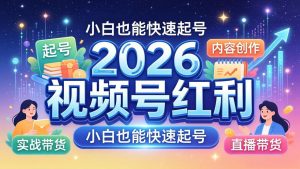 2026视频号红利实战营，大佬亲授起号、内容、直播、IP、投流、私域、矩阵全套落地打法-聊项目