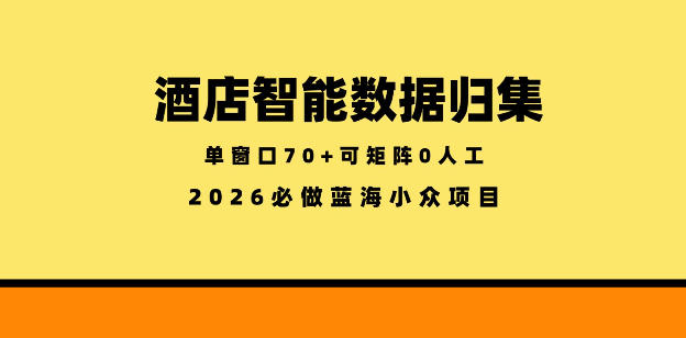 酒店智能数据归集，小众蓝海已经稳定半年之久，单窗口70+零成本矩阵开干【揭秘】-聊项目