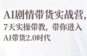 AI剧情带货实战营，7天实操带教，带你进入AI带货2.0时代-聊项目