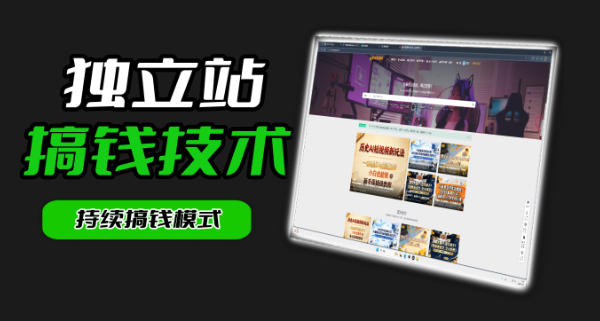 干货来袭！麦子甜带你吃透独立站｜从搭建到引流一站式教学《独立站》第一期-聊项目