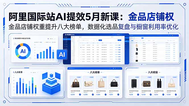 阿里国际站AI提效5月新课：金品店铺权重提升八大榜单，数据化选品复盘与橱窗利用率优化-聊项目