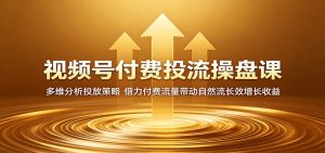 视频号付费投流操盘课：多维分析投放策略，借力付费流量带动自然流长效增长收益-聊项目