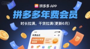 拼多多年费会员，实经验分享操，时长拉满，干货拉满(更新26年05月26日)-聊项目
