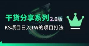 KS项目2.0期-拆本周结1W项目思路，几张图撬动流量群体，真的生猛-聊项目