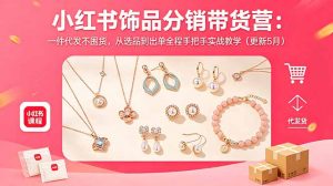 小红书饰品分销带货营：一件代发不囤货，从选品到出单全程手把手实战教学(更新5月-聊项目