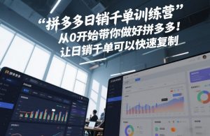 拼多多日销千单训练营，从0开始带你做好拼多多，让日销千单可以快速复制(更新26年5月)-聊项目