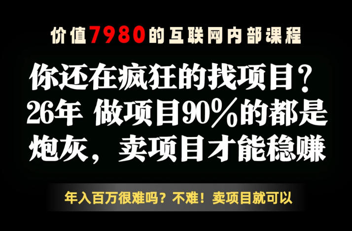 26年请不要疯狂的找项目了，卖项目远比你想象的暴利，你也可以月入10W+【揭秘】-聊项目