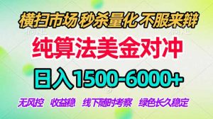 2026美金掘金新风口-纯算法对冲震撼上线！日入1500-6000+，长久合规稳健，轻松摆脱死工资，…-聊项目