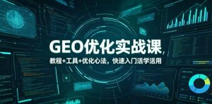 GEO优化实战课，教程+工具+优化心法，快速入门活学活用-聊项目